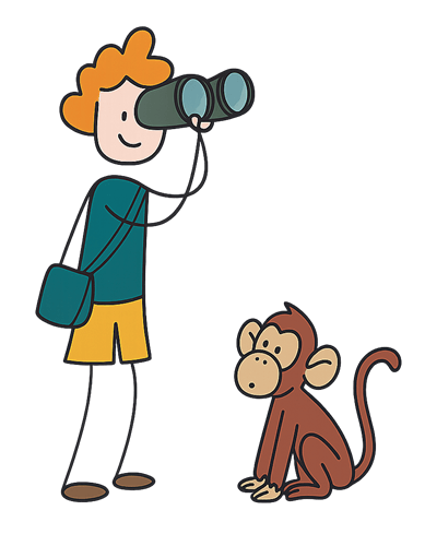 Waar schijnt de zon?